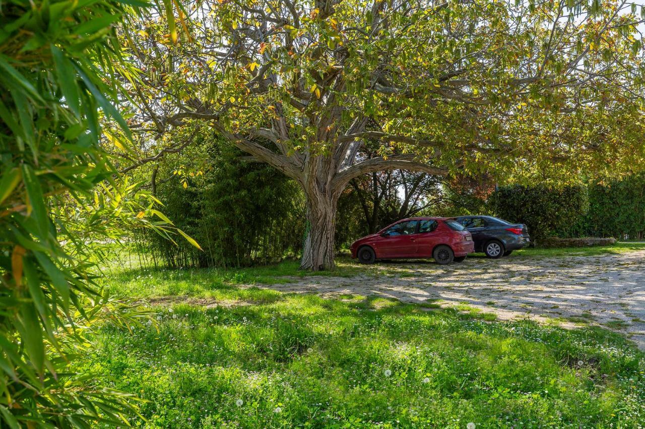 Rita Apartment Porec